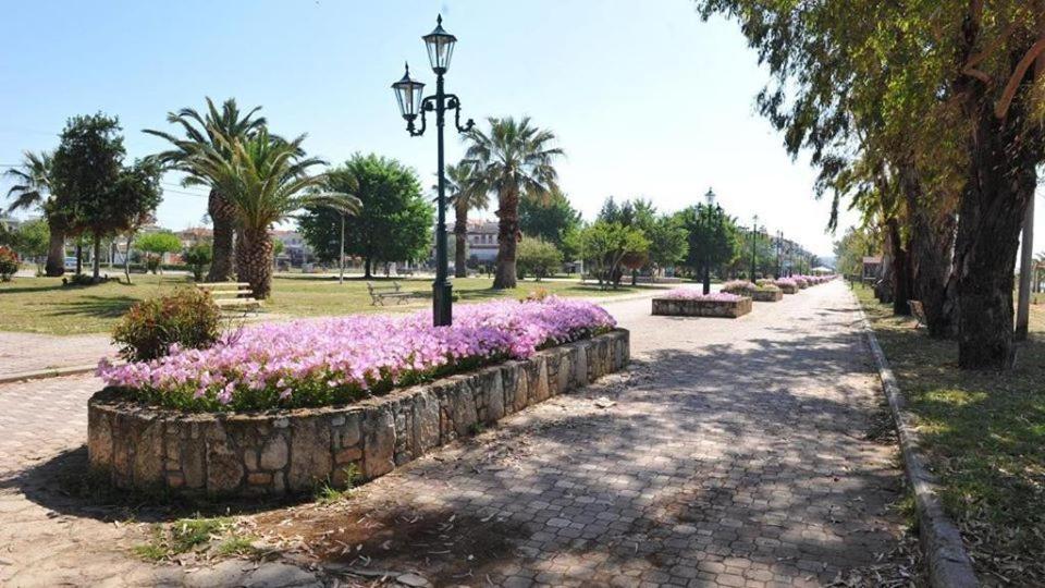 Zoi Apartments Paralia Dionisiou Zewnętrze zdjęcie